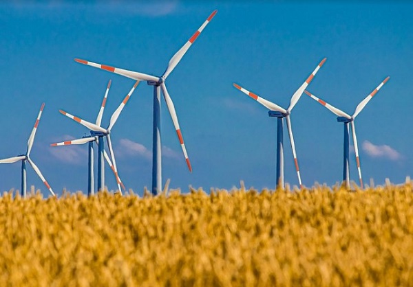 Maryland Freedom Caucus praises Trump administration for halting offshore wind project